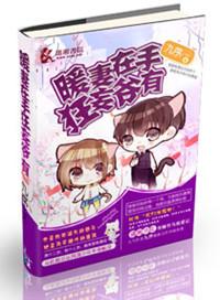 暖妻在上