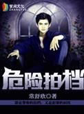危险拍档讲的什么