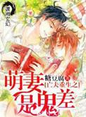 重生之萌妻嫁到