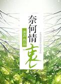 奈何情衷by沐声txt