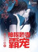 霸宠妻约