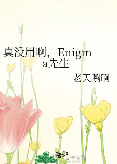 真没用啊enigma先生 番外