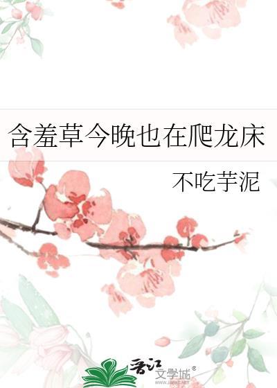 含羞草晚上睡觉