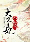 大宋贵妃