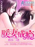 暖妻成瘾一共多少章