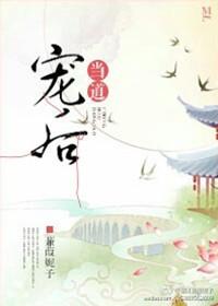 宠后当道简介