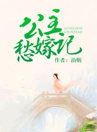 公主愁嫁记 泊烟讲的什么