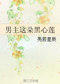 男主这朵黑心莲po