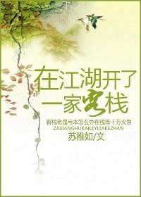 在江湖开了一家客栈 苏稚如 txt 百度盘