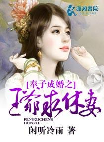 奉旨成婚王爷独宠男妃