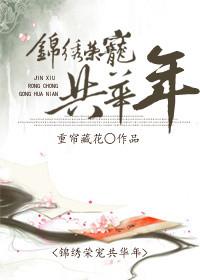 锦绣华年简介