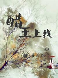 醋王是什么醋