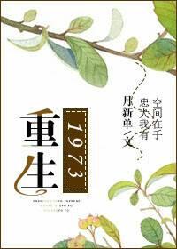 重生1973天山往事