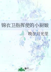 有羽倾舟免费阅读