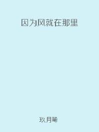 因为风就在那里免费阅读全文