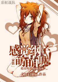 家教纲all代替品