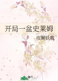 开局一只史莱姆有多少层