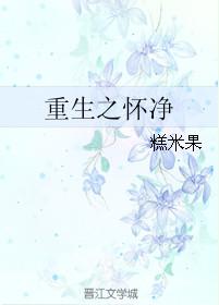 重生之怀净by糕米果