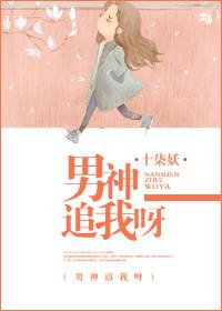 男神在追我哥