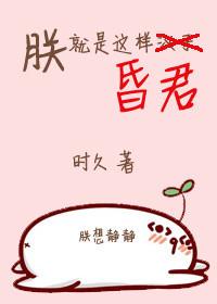 朕就是这样的昏君 作者时久