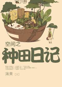 空间种田文吧