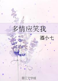多情应笑我免费阅读全文