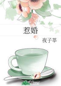 惹婚傅庭屿全文免费阅读无弹窗