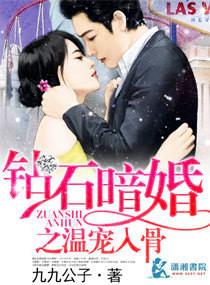 钻石暗婚温宠入骨by笔趣阁