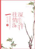 一往情深深几许完整版