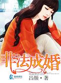 非法婚介处罚