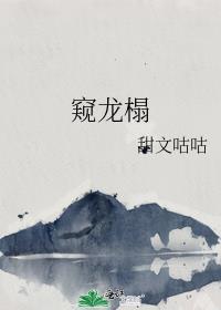窥龙榻免费阅读全文