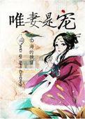 唯妻是宠海的挽留