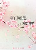 寒门崛起txt