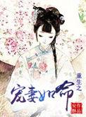 重生之宠妻如命gl萧晚