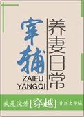 宰辅养妻日常全文阅读