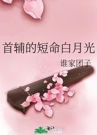 首辅的短命白月光 百度