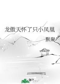 龙傲天怀了只小凤凰番外