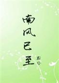 南风已至无错完整版