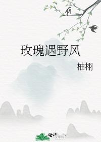 玫瑰遇野风by柚栩txt百度