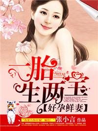 好孕新妻一胎生二宝