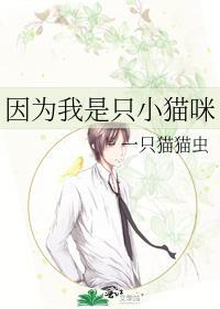 我是一只小猫咪为了复活主人我兢兢业业给恐怖游戏打工