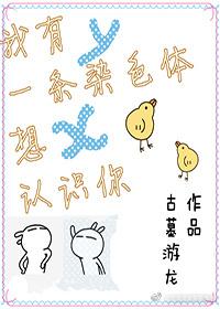 一条染色体图片