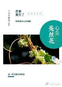 心尖菟丝花重生全文正版