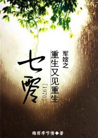 七零军嫂之重生又见重生 完结 番外 (梅雨季节情)