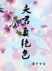 夫君真绝色作者漫步长安