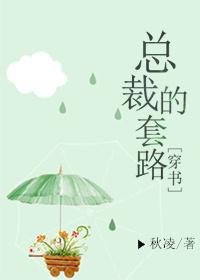 总裁套路