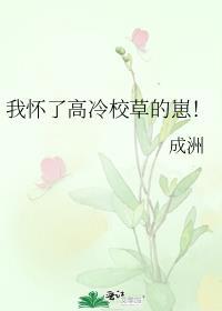 我怀了高冷校草的崽by霁青