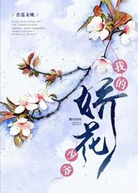 我的娇花少爷晋江