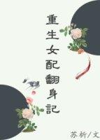 重生之贵女翻身记