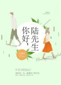 陆先生陆年